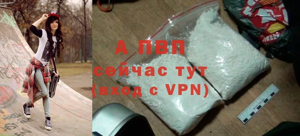 гашик Нея